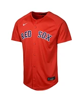 Nike Big Boys and Girls Red Boston Sox Alternate Limited Jersey