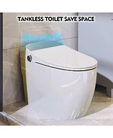 Heated Compact Smart Toilet Comfort & Hygiene with Simple Functions