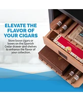 Newair 250 Count Electric Cigar Humidor Wineador in Stainless Steel with Opti-Temp Heating and Cooling Function, Spanish Cedar Shelves, Digital Thermo