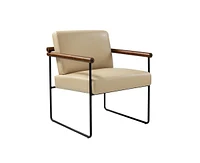 Hulala Home Justo Modern Arm Chair with Sturdy Metal Tube Side