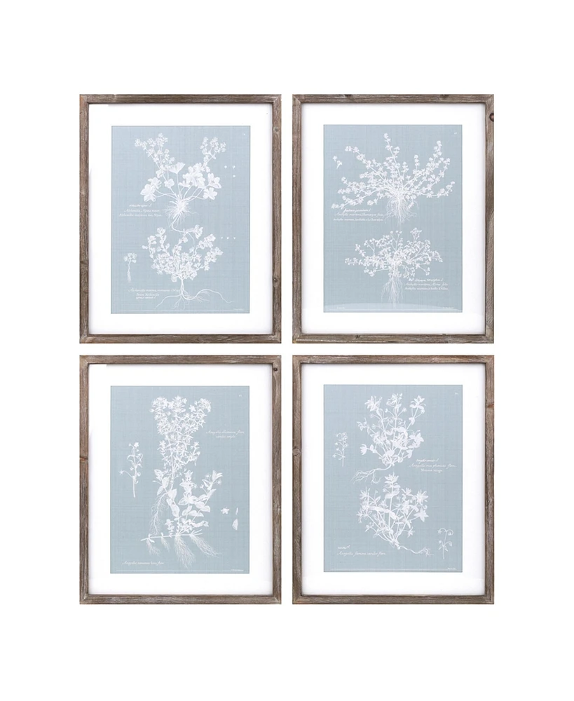 Slickblue Wood Framed Encyclopedia Floral Outline Under Glass (Set of 4)