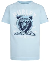 Hurley Big Boys Bear Mountain Tee