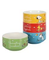Peanuts Snoopy 4 Pack Stackable 5.5" Decorate Stoneware Bowl Set