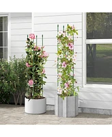 Givimo 2-Pack Garden Trellis Tomato Cage with Adjustable Height