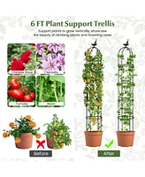Skonyon Giantex 2-Pack Garden Obelisk Trellis for Climbing Plants