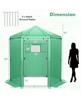 Skonyon Walk-In Hexagonal Greenhouse with Pe Cover and Metal Frame