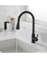 Streamdale Furniture Kitchen Faucet with Pull Out Sprayer