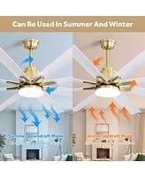 Sofucor 66 Modern Ceiling Fan With Light and Remote Control