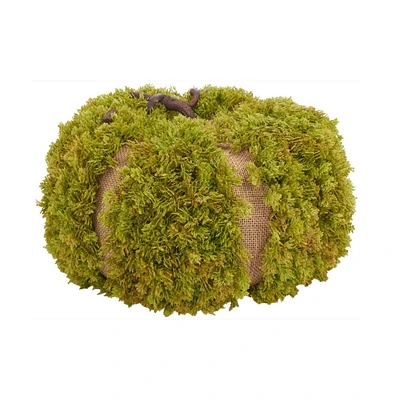 Safavieh Faux 15 Inch Moss Pumpkin