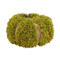 Safavieh Faux 15 Inch Moss Pumpkin