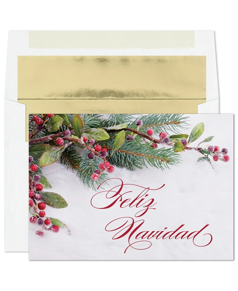 Masterpiece Studios Feliz Navidad Greenery Holiday Boxed Cards