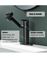 Boyel Living Single Handle Single Hole 2-Spray Swivelable Stainless Steel Bathroom Faucet with Deckplate Included in Matte Black