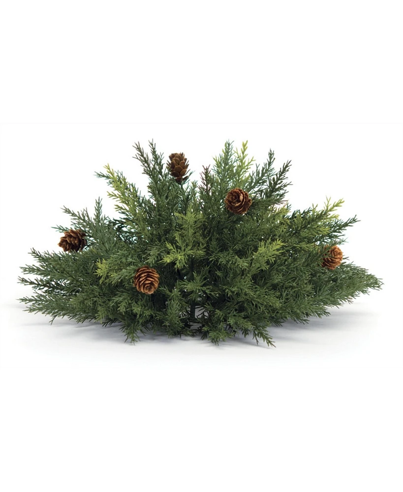 Arborvitae Half Orb