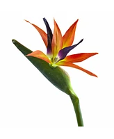 Slickblue Bird of Paradise Artificial Flower (Set of 4)