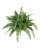 Slickblue Set of 2 Boston Ferns – Lush Indoor Plants for Elegant Home Decor