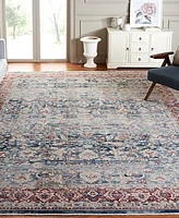 Safavieh Antique Patina ANP640M 9'x11'6" Area Rug