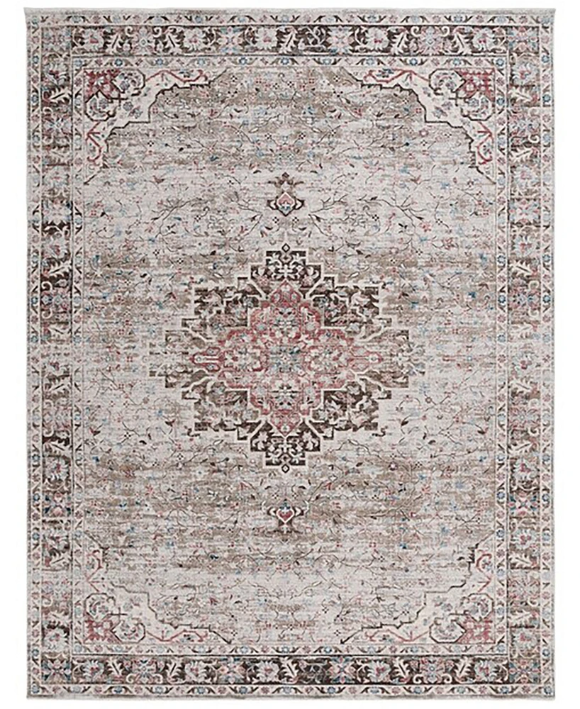 Safavieh Antique Patina ANP642B 5'3"x7'7" Area Rug