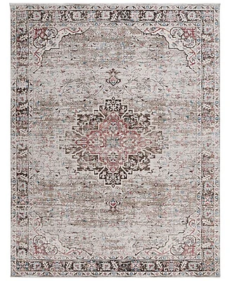 Safavieh Antique Patina ANP642B 5'3"x7'7" Area Rug