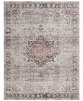 Safavieh Antique Patina ANP642B 5'3"x7'7" Area Rug