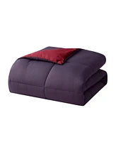 Empyrean Bedding Down Alternative Comforter