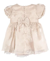 Rare Editions Baby Girl Shimmer Organza Social Dress