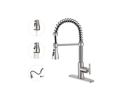 Casainc 1.8 Gpm Spring Neck Pull Down Kitchen Faucet with Deck Plate