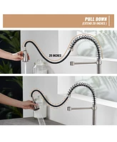 Casainc 1.8 Gpm Britt Commercial Style Pull Down Single Handle Kitchen Faucet