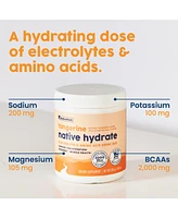 NativePath Native Hydrate, Zero Sugar, Electrolytes Powder with BCAAs, Tangerine Hydration, Keto & Paleo Friendly, 30 Servings