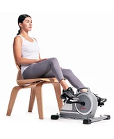 Sunny Health & Fitness Magnetic Mini Exercise Pedal Cycle - Sf-B020026