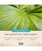 Gaia Herbs Prostate Health - Supports Prostate Health and Function for Men - With Saw Palmetto, Green Tea, Nettle Root, and White Sage