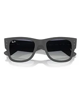 Ray-Ban Men's and Women's Sunglasses RB4840S