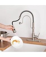 Casainc 1.8 Gpm Spring Neck Pull Down Kitchen Faucet with Deck Plate