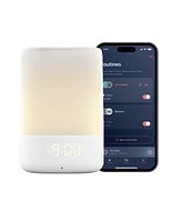 Nanit Traveling Light Bundle