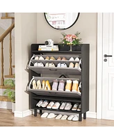 Tribesigns Shoe Cabinet, 2