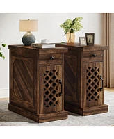 Tribesigns End Table Set of 2, Narrow Side Table with Drawer and Cabinet, Farmhouse Nightstand Sofa End Table for Small Space, Living Room, Bedroom, V