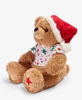 Macy's Big Brother, Big Sister Plush Bear, Created for Macy's