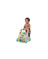 LeapFrog Nature Walk Touch and Learn Wooden Walker