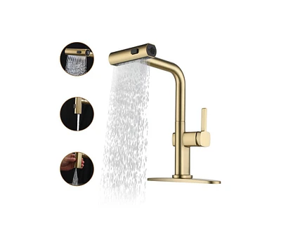 Casainc Single Handle Pull Out Kitchen Faucet