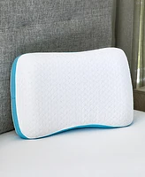 ProSleep Side and Back Sleeper Gel-Infused Memory Foam Pillow, Jumbo