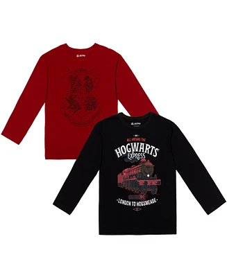 Harry Potter Boys Gryffindor 2 Pack T-Shirts to