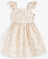 Rare Editions Little Girls Floral Burnout Organza Dress