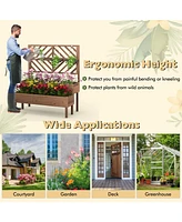 2-Tier Raised Garden Bed with Trellis