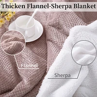 Caromio King Size Flannel Sherpa Electric Heated Blanket with Dual Control, 100" x 90"