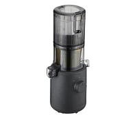Hurom H310 Personal Easy Clean Slow Juicer