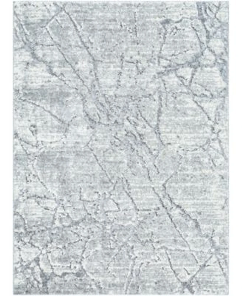 Livabliss Andorra Plus Arp 2312 Rug Collection