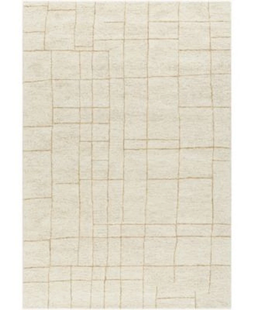 Livabliss Ira Vvir 2301 Rug Collection