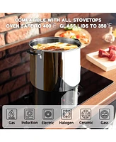 Cook N Home 12 Quart Stainless Steel Professional Stockpot Sauce Pot Induction Pot With Lid
