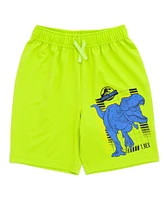 Jurassic World Boys Park T-Rex T-Shirt and Shorts Outfit Set to