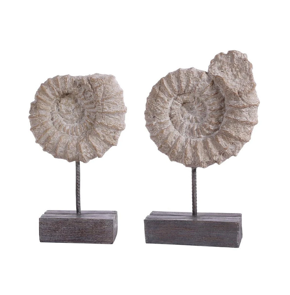 Safavieh Toren Set of 2 Ammonite Shell Table Decor