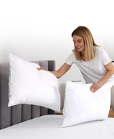 Cheer Collection Soft and Plush Bed Pillow Insert, -Pack